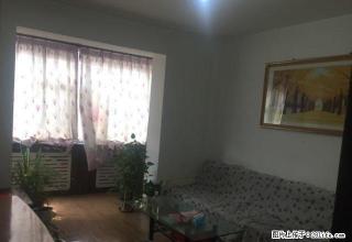 11小区，两室一厅，精装，随时看房，好房不多 - 石河子28生活网 shz.28life.com