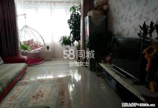 春城精美装修2楼可拎包入住诚意出租 - 石河子28生活网 shz.28life.com