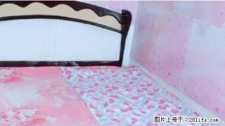(单间出租)向阳石河子市21 2室1厅 次卧 朝南北 精装修(个人) - 石河子28生活网 shz.28life.com