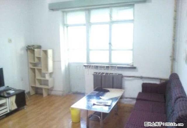 13小区 凯瑞酒店旁5楼 温馨小两室 拎包入住 - 房屋出租 - 房屋租售 - 石河子分类信息 - 石河子28生活网 shz.28life.com