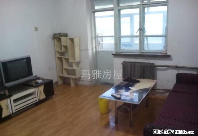 13小区 凯瑞酒店旁 5楼 温馨小两室 拎包入住 有钥匙 - 房屋出租 - 房屋租售 - 石河子分类信息 - 石河子28生活网 shz.28life.com