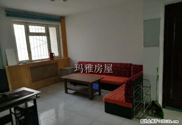 13小区大三室户型好采光好位置佳急租 - 房屋出租 - 房屋租售 - 石河子分类信息 - 石河子28生活网 shz.28life.com