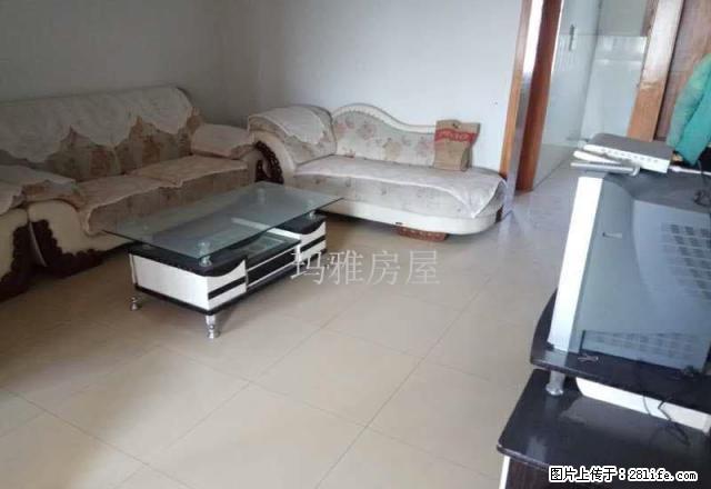 5小区5楼出租,700块钱,欢迎致电 - 房屋出租 - 房屋租售 - 石河子分类信息 - 石河子28生活网 shz.28life.com