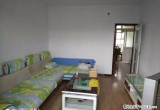 20 小区老客运站旁，4楼出租，干净整洁，有钥匙看房方便 - 石河子28生活网 shz.28life.com