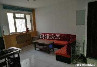 13小区大三室户型好采光好位置佳急租 - 石河子28生活网 shz.28life.com