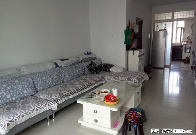 42小区,精装修!!! - 房屋出租 - 房屋租售 - 石河子分类信息 - 石河子28生活网 shz.28life.com