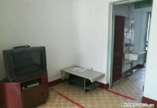 3小区东带家具家电800元租 - 石河子28生活网 shz.28life.com