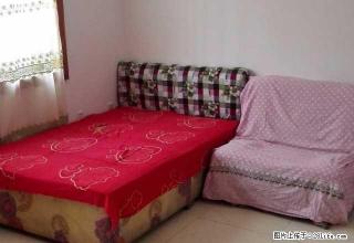 金城花园一室一厅出租（个人） 1室1厅1卫 - 石河子28生活网 shz.28life.com