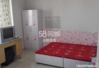 金城花园一室一厅出租（个人） 1室1厅1卫 - 石河子28生活网 shz.28life.com