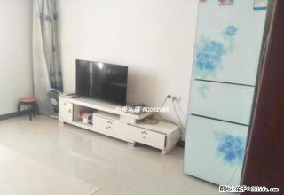 6小区 老街好房直租 - 石河子28生活网 shz.28life.com