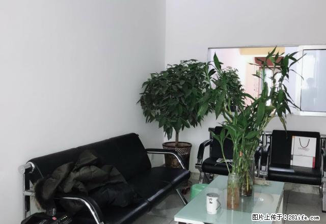 出租一楼门面带住宅 标准户型 冬暖夏凉 热闹 早市斜对 - 房屋出租 - 房屋租售 - 石河子分类信息 - 石河子28生活网 shz.28life.com