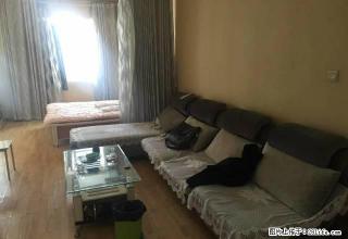 左岸阳光公寓 家电齐 生活便利 租金半年付 可洗澡做饭 - 石河子28生活网 shz.28life.com