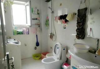 天富康城南门2楼精装2室 家电齐 干净舒适 地段好拎包住 - 石河子28生活网 shz.28life.com