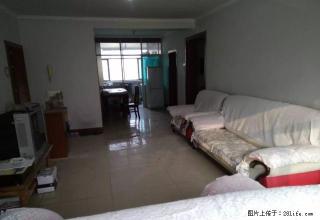 26小区 三室 干净整洁 可洗澡做饭真实图片 - 石河子28生活网 shz.28life.com