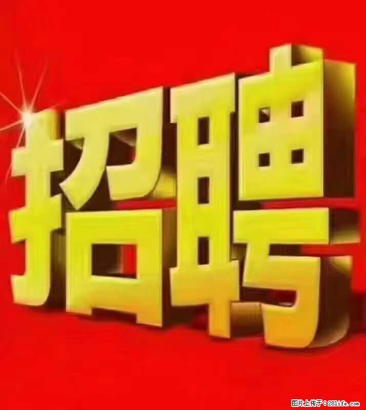【东莞市威萨电子科技有限公司】公司直招:外贸业务、仓管员、跟单文员、普工 - 职场交流 - 石河子生活社区 - 石河子28生活网 shz.28life.com
