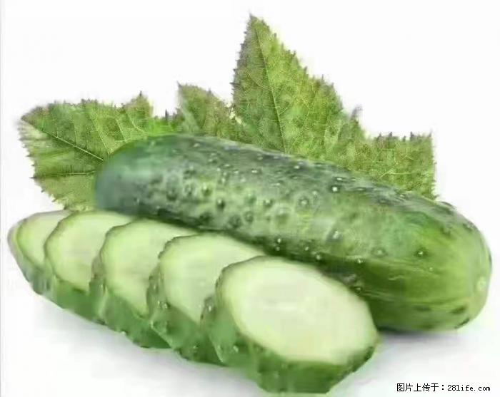 【生活小常识】吃黄瓜的好处 - 生活百科 - 石河子生活社区 - 石河子28生活网 shz.28life.com
