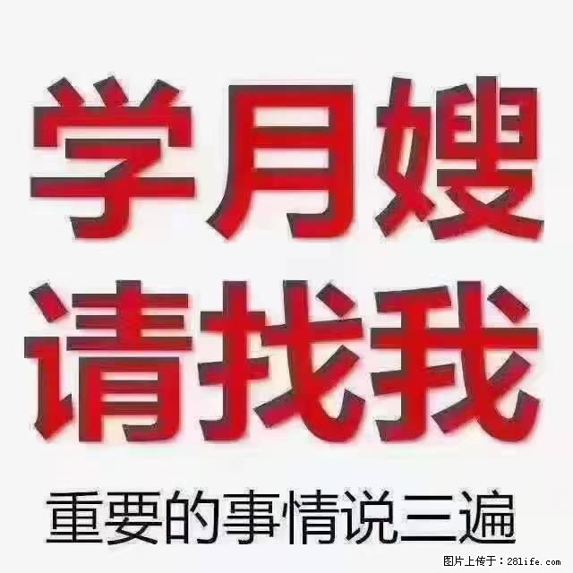 【招聘】月嫂，上海徐汇区 - 职场交流 - 石河子生活社区 - 石河子28生活网 shz.28life.com