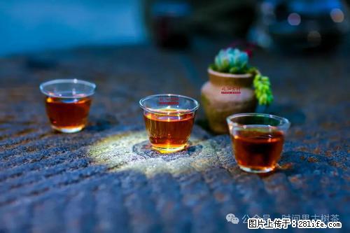 时间果百年古树2025年春红茶 - 购物交流 - 石河子生活社区 - 石河子28生活网 shz.28life.com