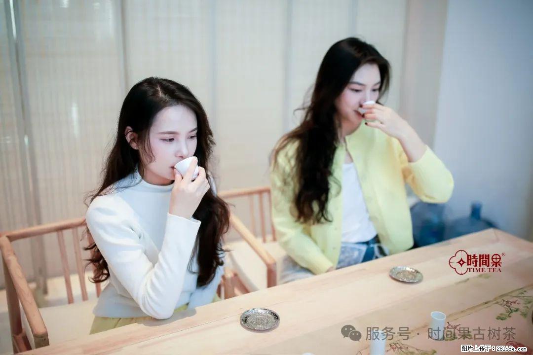 时间果百年古树龙珠普洱生茶 - 购物交流 - 石河子生活社区 - 石河子28生活网 shz.28life.com