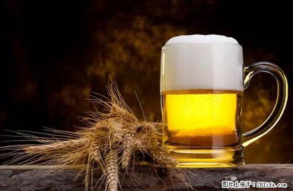 原来它这么毒,然而竟然满大街都是.... - 石河子生活资讯 - 石河子28生活网 shz.28life.com