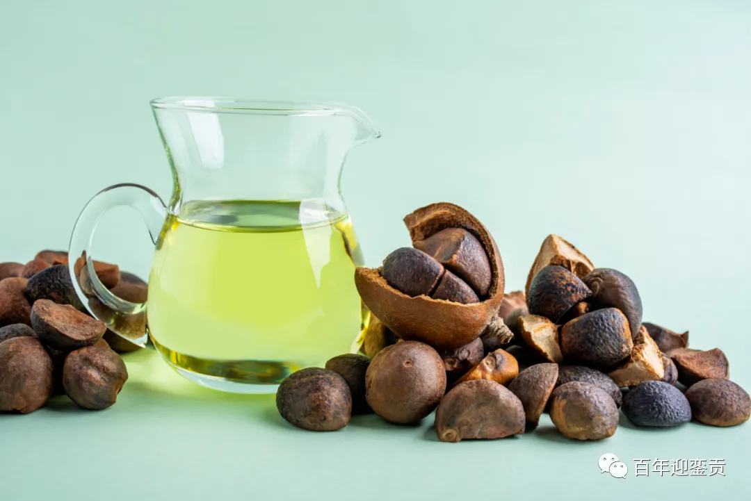 世界没有真相,只有认知,最好的食用油是中国的山茶油! - 石河子生活资讯 - 石河子28生活网 shz.28life.com