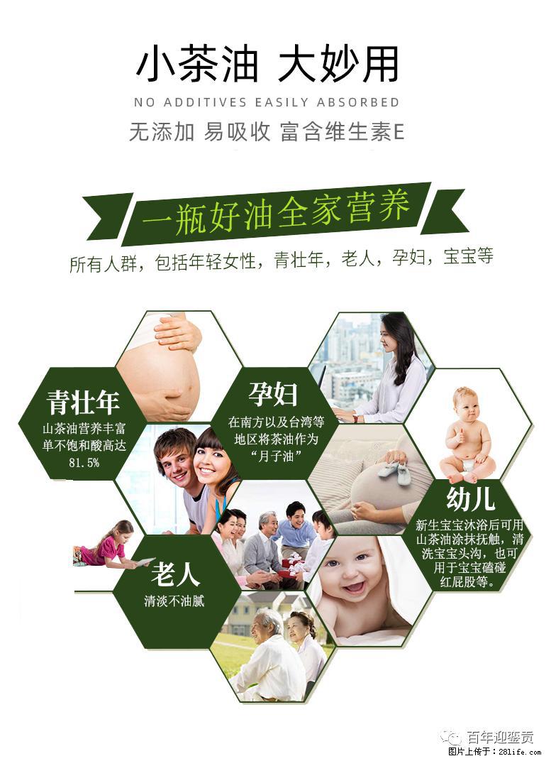 世界没有真相,只有认知,最好的食用油是中国的山茶油! - 石河子生活资讯 - 石河子28生活网 shz.28life.com