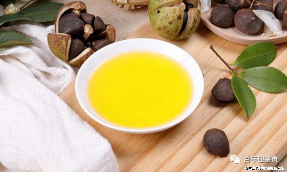 世界没有真相,只有认知,最好的食用油是中国的山茶油! - 石河子生活资讯 - 石河子28生活网 shz.28life.com