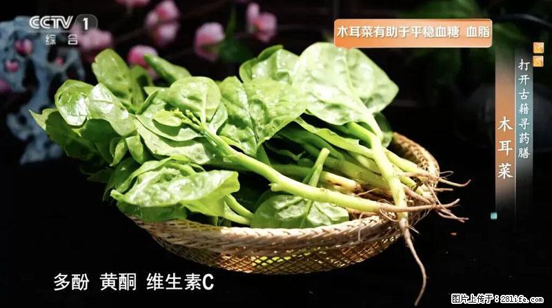 比牛奶补钙还厉害!凉血解毒、稳血糖...这菜冬天必吃,很多人却当草 - 石河子生活资讯 - 石河子28生活网 shz.28life.com