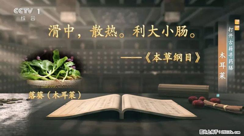 比牛奶补钙还厉害!凉血解毒、稳血糖...这菜冬天必吃,很多人却当草 - 石河子生活资讯 - 石河子28生活网 shz.28life.com