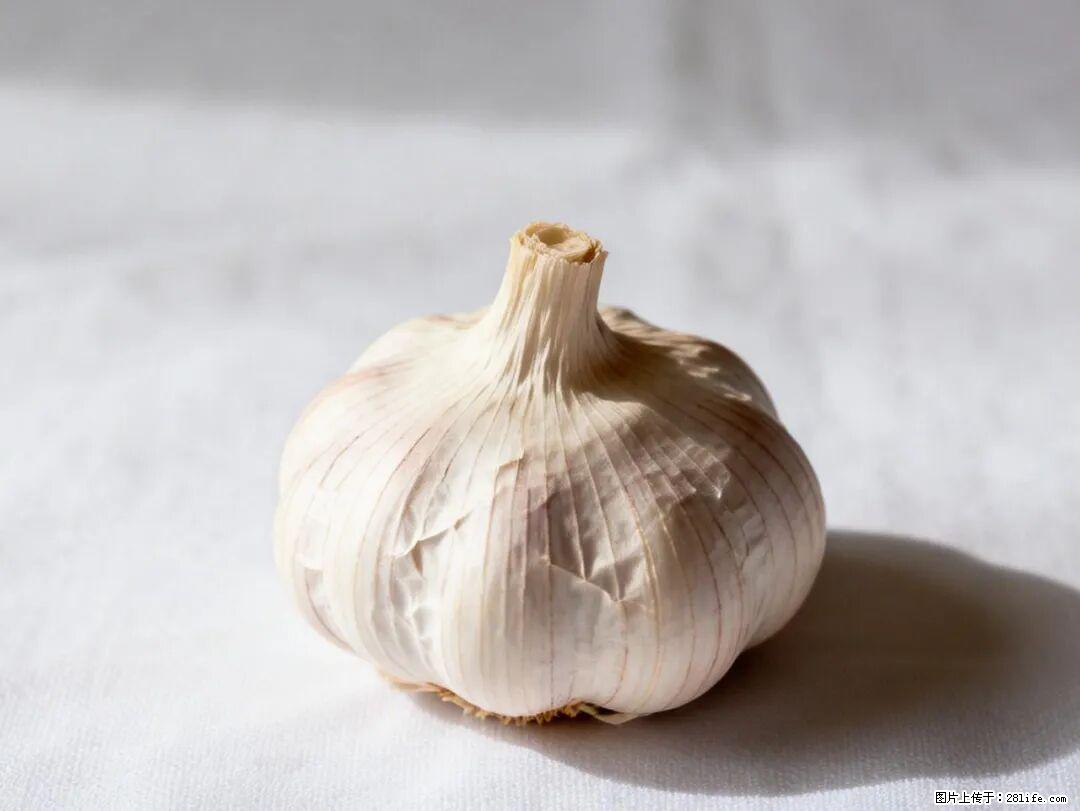 关于大蒜，除了“天然抗生素”，这4个谣言更该警惕! - 石河子生活资讯 - 石河子28生活网 shz.28life.com