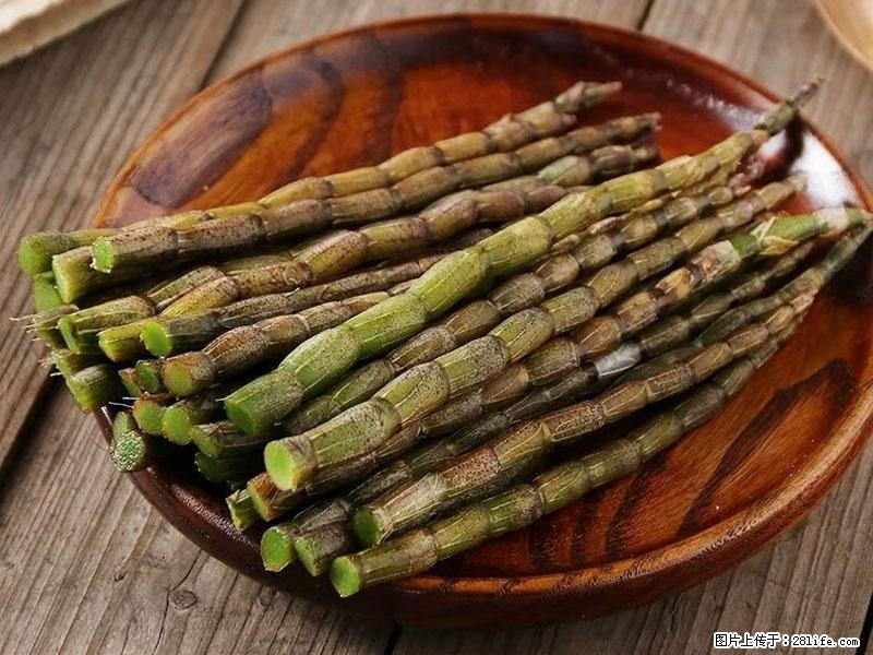 铁皮石斛的作用与功能主治 - 石河子生活资讯 - 石河子28生活网 shz.28life.com