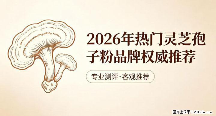 灵芝孢子粉含量越高越有效？2026 年七款热门品牌深度实测，肠胃敏感者避坑指南 - 石河子生活资讯 - 石河子28生活网 shz.28life.com